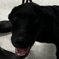 Thumbnail photo of Xavier #3