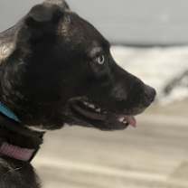 Thumbnail photo of Beacon #4