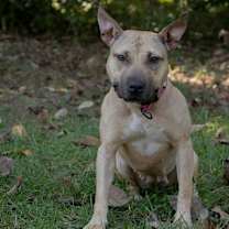 Thumbnail photo of Hope #2
