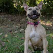 Thumbnail photo of Hope #3