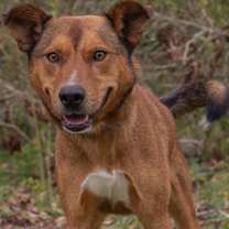 Thumbnail photo of Wes #3