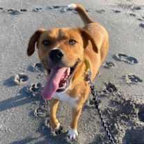 Thumbnail photo of Wes #4