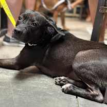 Thumbnail photo of Miala #3
