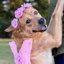 Thumbnail photo of Kylee #1