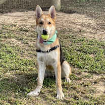 Thumbnail photo of Cash #2