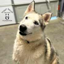 Thumbnail photo of Prince #1