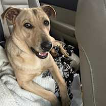 Thumbnail photo of Rex #2