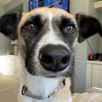 Thumbnail photo of Genevieve #1