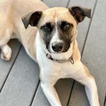 Thumbnail photo of Genevieve #2