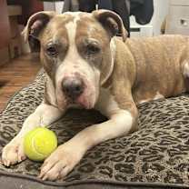 Thumbnail photo of Lexi #2