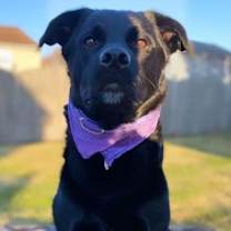 Thumbnail photo of Layla #2