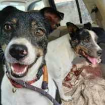 Thumbnail photo of Jed #1