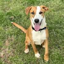 Thumbnail photo of Sandy #2