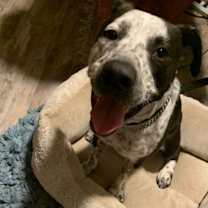 Thumbnail photo of Rue #3