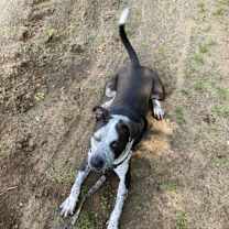 Thumbnail photo of Rue #4