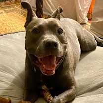 Thumbnail photo of Piggy (I Have a Secret Crush!) #1