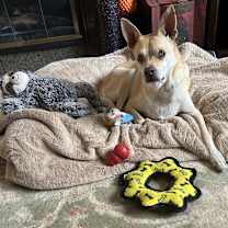Thumbnail photo of Holiday (AKA Doc) #2