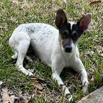 Thumbnail photo of Tina #1