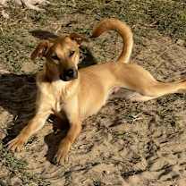 Thumbnail photo of Fred #3
