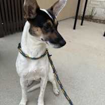 Thumbnail photo of Tina #3