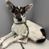 Thumbnail photo of Tina #4
