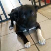 Thumbnail photo of Lilly #4