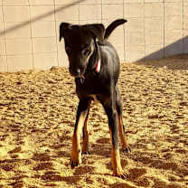Thumbnail photo of Derrika #2
