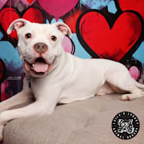 Thumbnail photo of Kodak #1