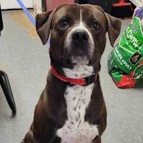 Thumbnail photo of Bruce-Sponsored #3