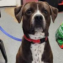Thumbnail photo of Bruce-Sponsored #4