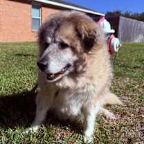 Thumbnail photo of Evee HTX #4