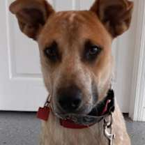 Thumbnail photo of Moby #3