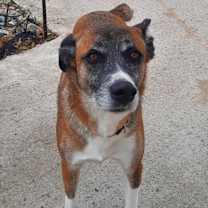 Thumbnail photo of Mack #2