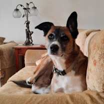Thumbnail photo of Mack #3