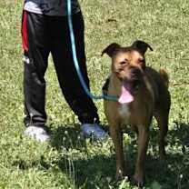 Thumbnail photo of Hutch #3