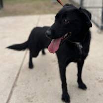Thumbnail photo of Dora #1