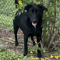 Thumbnail photo of Dora #2