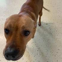 Thumbnail photo of Bonnie #2