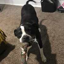 Thumbnail photo of Tori A4807300 #3