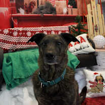 Thumbnail photo of Riley #2
