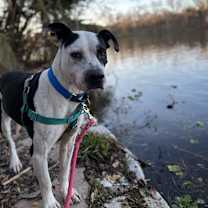 Thumbnail photo of Dominic #1