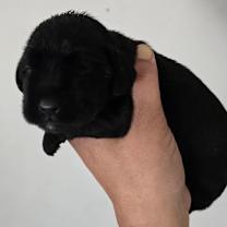 Thumbnail photo of Monica #2