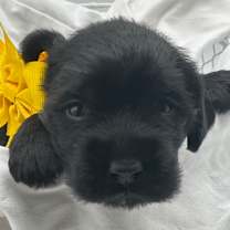 Thumbnail photo of Monica #3