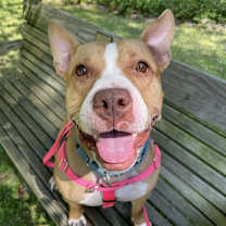 Thumbnail photo of Gigi #2