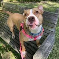 Thumbnail photo of Gigi #3