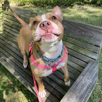 Thumbnail photo of Gigi #4