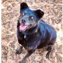Thumbnail photo of Hannah #1