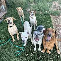 Thumbnail photo of Bodie #2