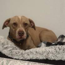 Thumbnail photo of Bodie #4