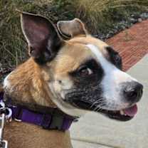 Thumbnail photo of Faye #2
